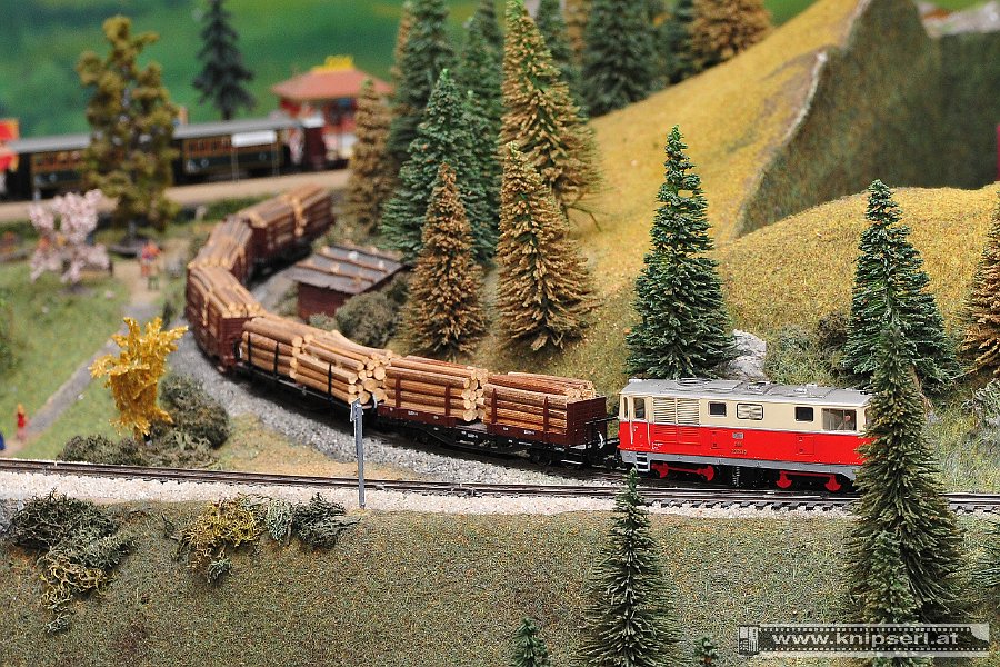 2014.01.06 AMV Arbeiter Modellbahnverein (2)